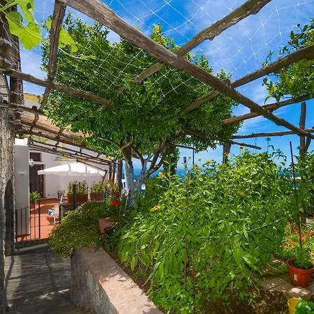 Lägenhet Casa La Verbena *